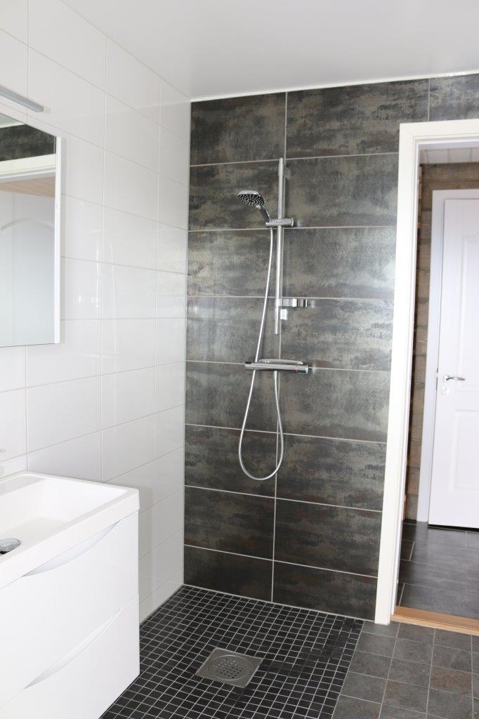 bathroom downstairs with sauna